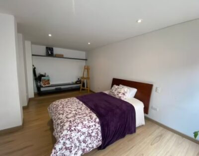 Spacious 3BR Apartment near Park 93