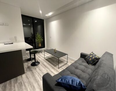 1BR Apartment near Park 93 | Chico